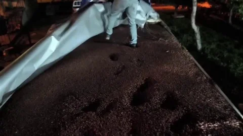 Sakarya'da Fındıkla Kamufle Edilen Kaçak Makaronlar Ele Geçirildi