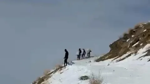 Yüksekova'da Dağ Keçilerine Şefkat Eli Uzandı