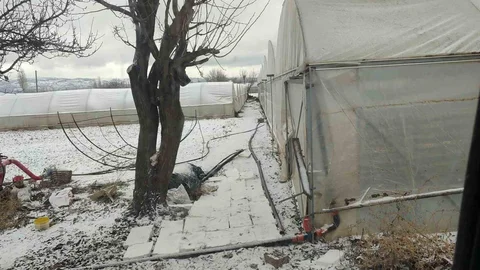 Kar Yağışı Seraları Buz Tuttu