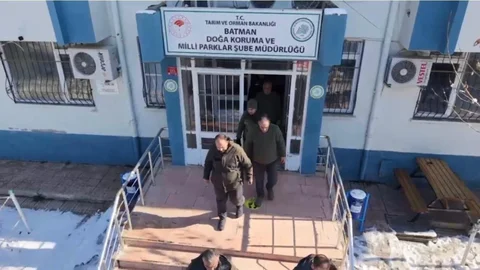 Batman'da Yaban Hayvanları İçin Yem Bırakıldı