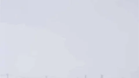 Diyarbakır'da Kurtlar Yerleşim Alanlarına Girdi