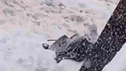 Diyarbakır'da Yoğun Kar Yağışı Sorun Yarattı