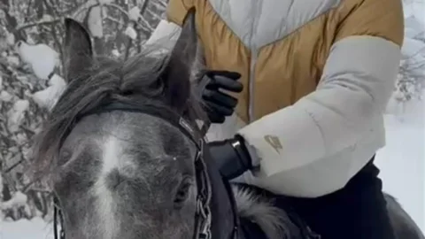 Düzce'de Kar Üstünde At Şovu