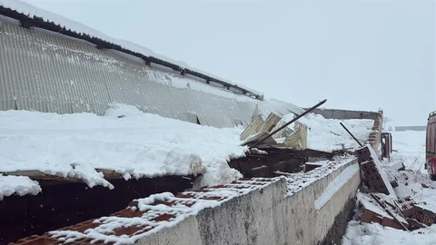 Diyarbakır'da Ahır Çatısı Çöktü