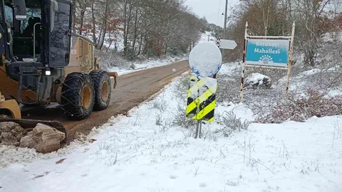 Nilüfer'de Karla Mücadele Çalışmaları