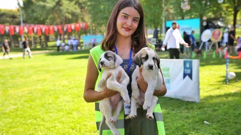 Bursa'da Sokak Hayvanlarına Destek Çalışmaları