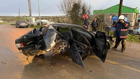 Sakarya'da Köpeğe Çarpmamak İçin Direksiyon Kırdı