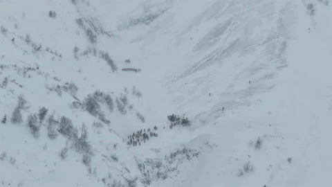 Artvin'de Çığ Altında Kalan Çobanlar İçin Arama Çalışmaları