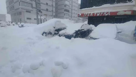 Bitlis'te Fırtına ve Çığ Tehlikesi Uyarısı Yapıldı