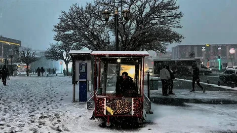 Erzincan'da Lapa Lapa Kar Yağışı Başladı