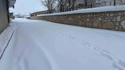 Diyadin'de Kar Yağışı Etkisini Gösteriyor