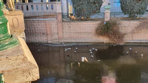 Porsuk Çayı'nın Buzla Kaplandığı Anlar