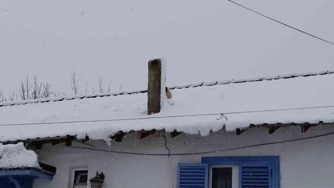 Bilecik'te Karla Kaplı Çatıda Mahsur Kalan Köpek Kurtarıldı