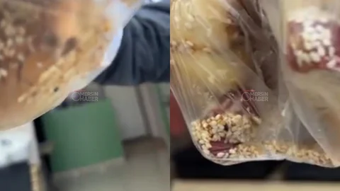 Mersin’de Zincir Markette Hijyen Skandalı: Poğaça Paketinde Canlı Böcek!