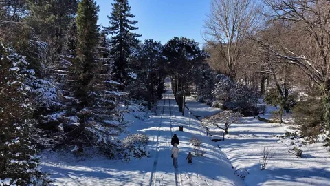 İstanbul'da Kar Manzarası Keyfi