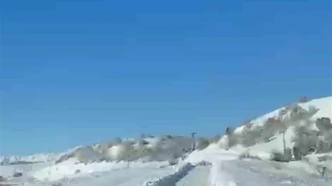 Bingöl'de UMKE Ekiplerine Kurt Eşlik Etti