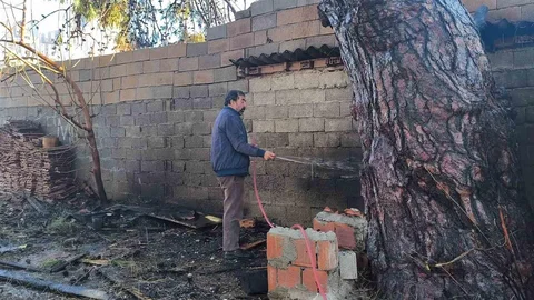 Antalya'da Yangın Paniği Yaşandı