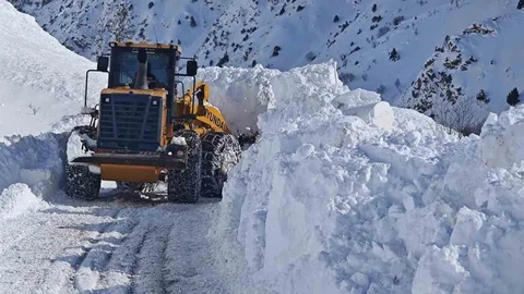 Van'da Çığ Kaldırma Çalışmaları Devam Ediyor