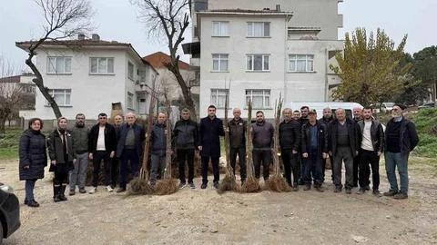 Bilecik'te Çiftçilere Fidan Desteği Verildi