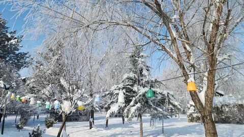 Elazığ'da Dondurucu Soğuklar