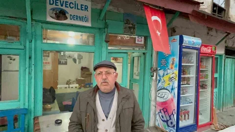 Muğla'da Deve Güreşleri İptal Edildi