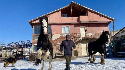 Ankara'da Hayvanlarla Sıra Dışı Yaşam