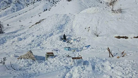 Hakkari'de Çığ Olayı: 32 Arı Kovanı Kayboldu