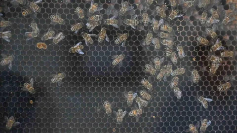 Manisa'da Kırsal Kalkınmaya 144 Milyon TL Yatırım