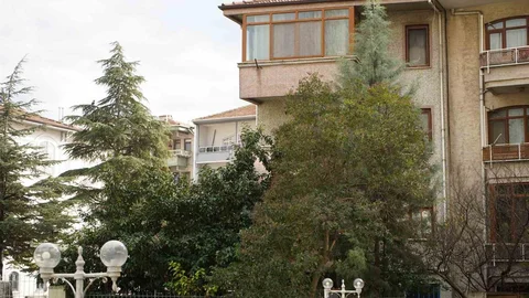 Sakarya'da Şiddetli Rüzgar Ağaçları Devrildi