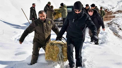Gümüşhane'de Yaban Hayvanları İçin Yem Bırakıldı
