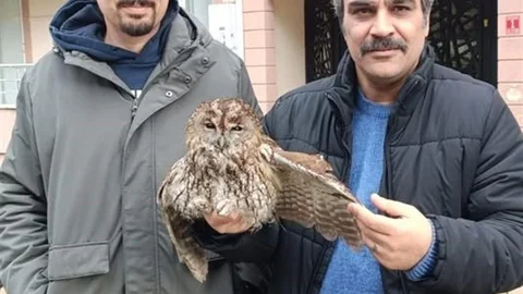 Burhaniye'de Soğuk Hava Etkisi