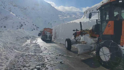 Van'da Greyder Şarampole Yuvarlandı