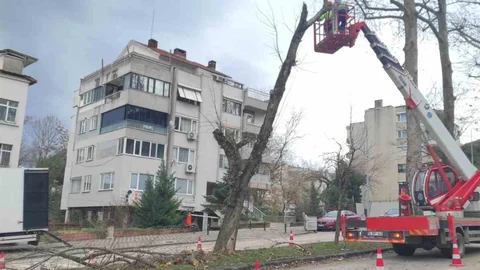 Bursa'da Lodos Sonrası Ekipler Sahada