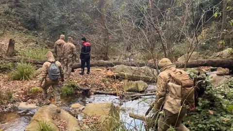 Kayıp Elif Kamal İçin Arama Çalışmaları Devam Ediyor