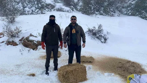 Gaziantep'te Yaban Hayvanlarına Yem Bırakıldı