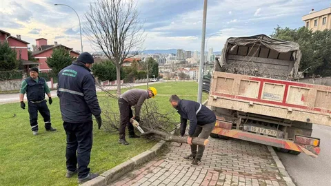 Bursa'da Lodosun Devrildiği Ağaçlar Hızla Kaldırıldı