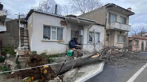 Çanakkale'de Lodos Fırtınası Ağaç Devrildi