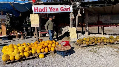 Araştırmacı Kavuncu Dede Denizli'de Ata Tohumlarını Koruyor