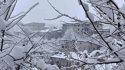 Hakkari'de Köy Yollarında Seferberlik Başladı