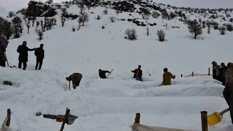 Şırnak'ta Çığ Altında Kalan Arılar Kurtarıldı