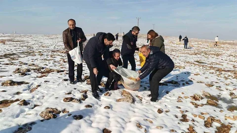 Batman'da Yaban Hayvanları İçin Yem Bırakıldı