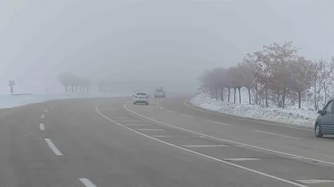 Van'da Yoğun Sis Trafiği Olumsuz Etkiledi