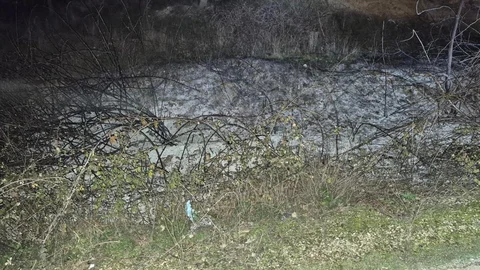 Küçük Çaplı Ot Yangını Bilecik'te Söndürüldü