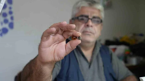 Bayburt'ta Milyonlarca Yıllık Fosil Bulundu