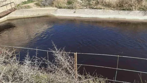 Göksu Nehri'ni Kirleten Tesise Ceza Verildi