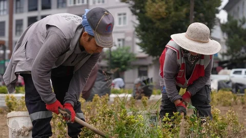 Düzce'nin Park ve Bahçeleri Yenileniyor