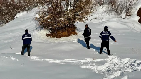 Mutki'de Yaban Hayata Destek