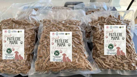 Kızılcahamam'da Yemek Atıkları Mamaya Dönüşüyor