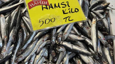 Denizlerdeki Durgunluk Balık Fiyatlarını Etkiledi