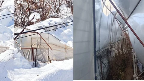 Hakkari'de Kar Yağışı Seraları Çöktürdü
